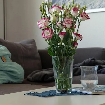 شقة Ferienpark-heiligenhafen-haus-i-wohnung-05-07 هايليغنهافن